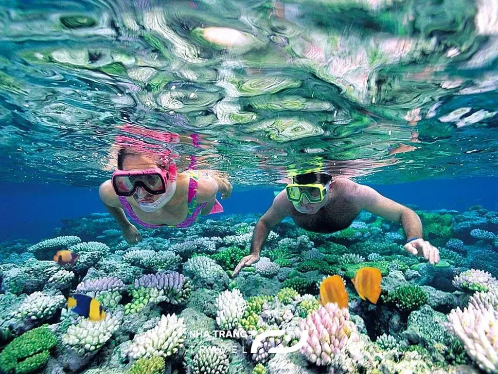 Tour Lặn Biển 3 Đảo Nha Trang 2 Tour lặn biển 3 đảo Nha Trang