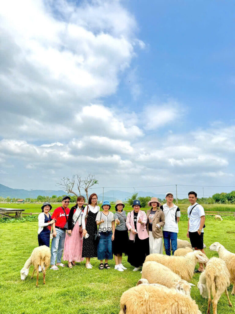 Tour Đồng Cừu Vĩnh Hy 1 ngày 2 Tour Đồng Cừu Vĩnh Hy
